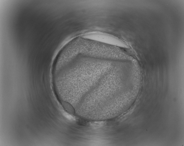 X0000070220102200606232141