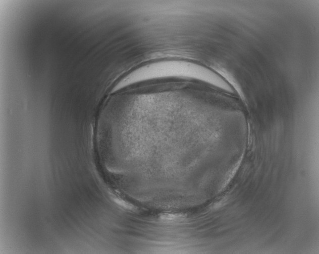 X0000070220109200606232141