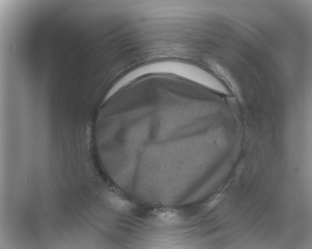 X0000070220113200606232141
