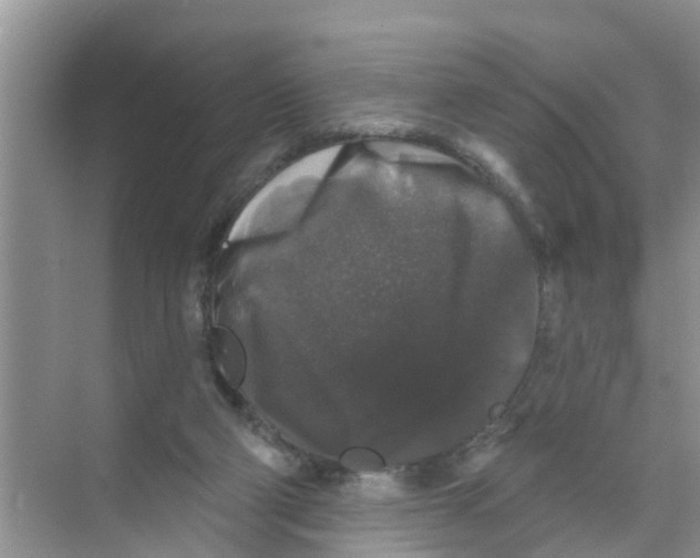 X0000070220114200606232141