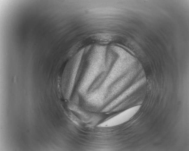 X0000070220141200606232141