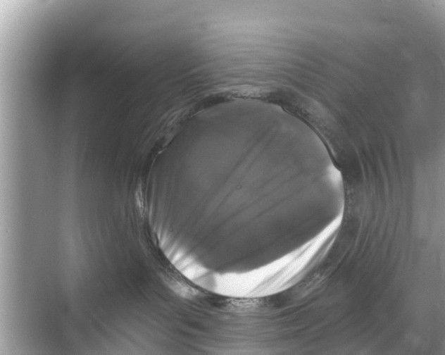 X0000070220143200606232141
