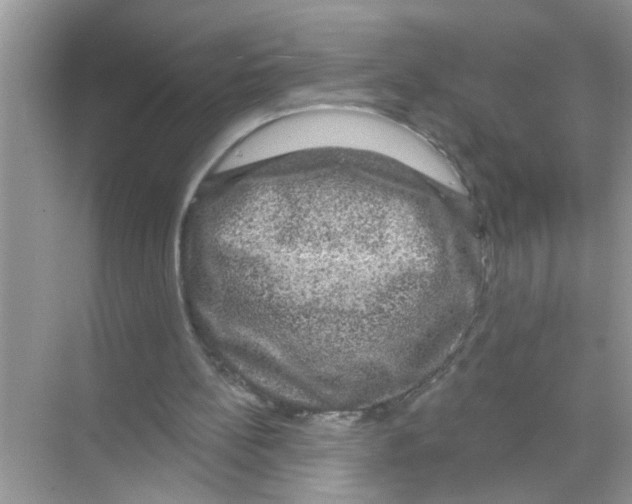 X0000070220148200606232140