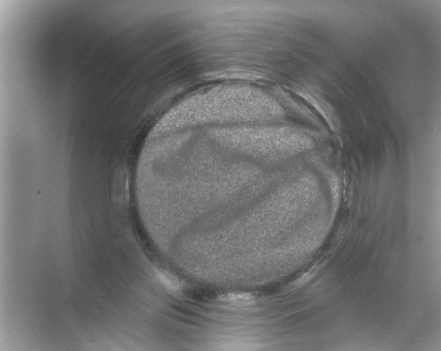 X0000070220157200606232140