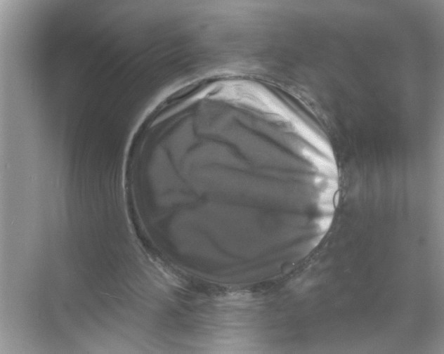 X0000070220196200606232140