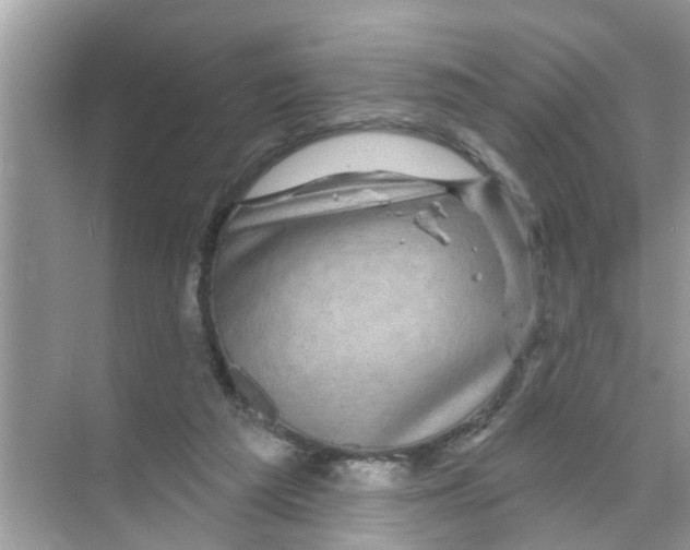X0000070220209200606232140