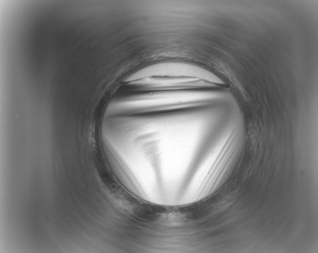 X0000070220212200606232140