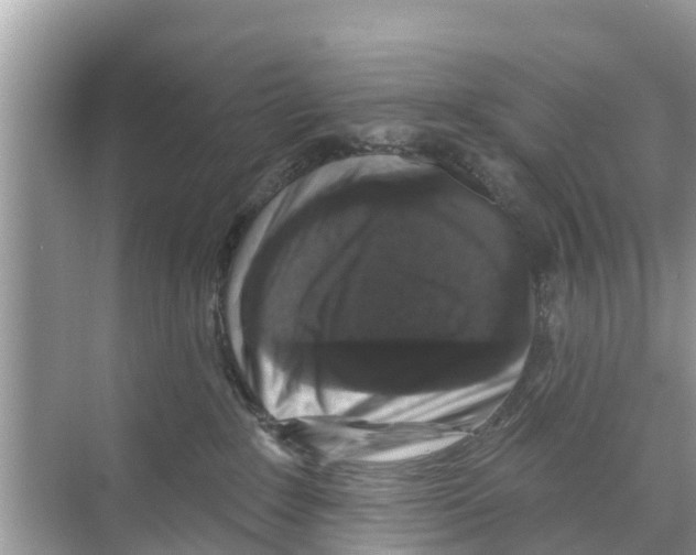 X0000070220235200606232139