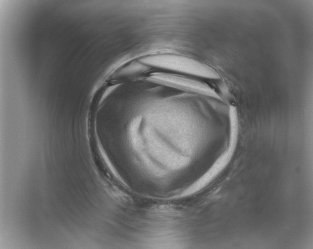 X0000070220244200606232138