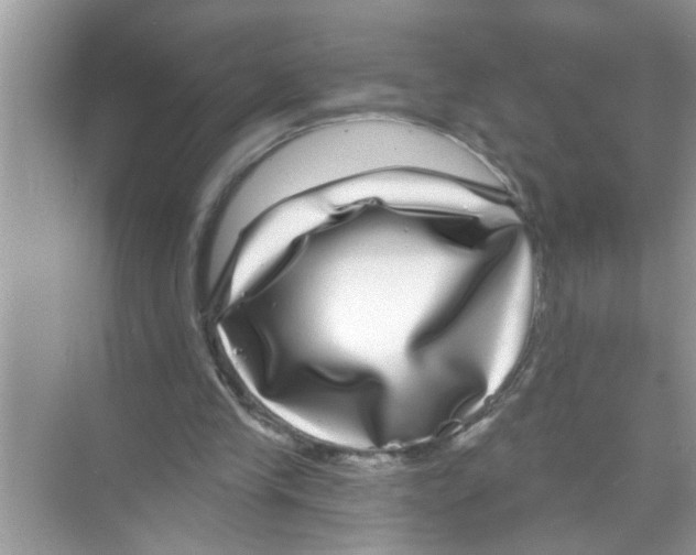 X0000070220245200606232138