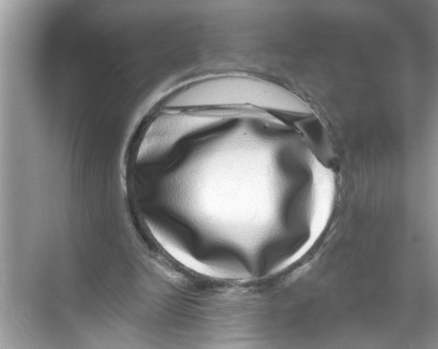 X0000070220246200606232138