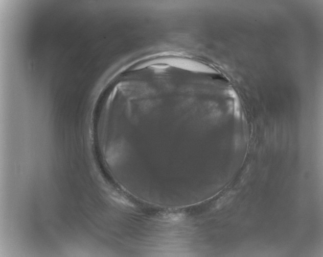 X0000070220247200606232138