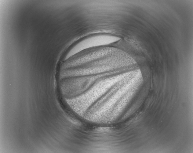 X0000070220252200606232138