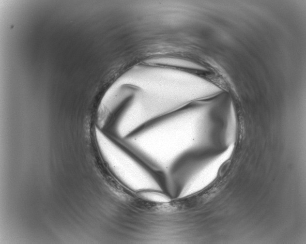 X0000070220257200606232139