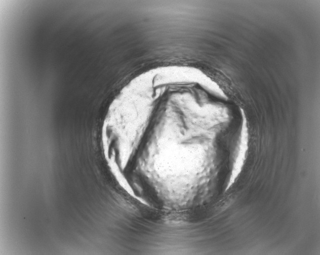 X0000070220269200606232139