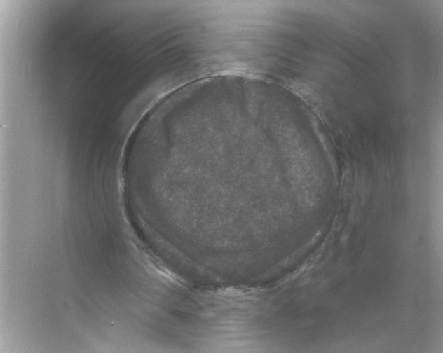 X0000070220290200606232138
