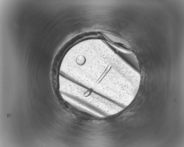X0000070220292200606232138