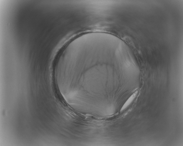 X0000070220295200606232138