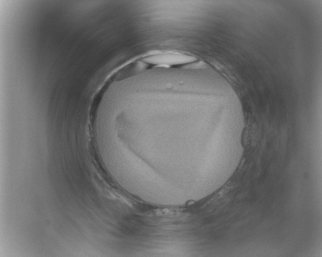X0000070220338200606232137