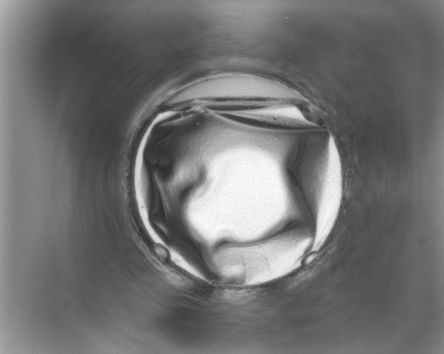 X0000070220341200606232137
