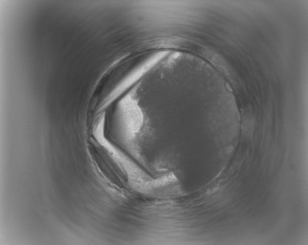 X0000070220386200606232137