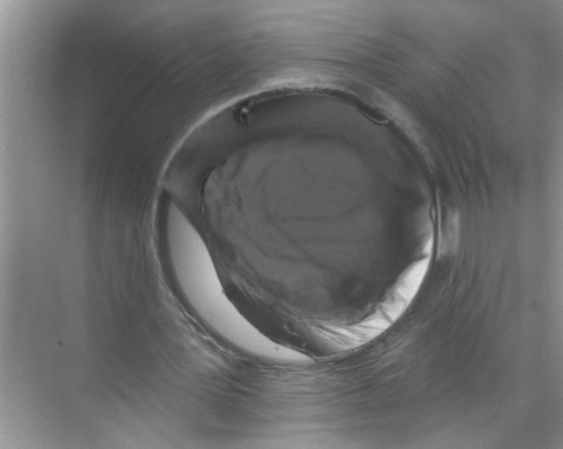 X0000070220387200606232137