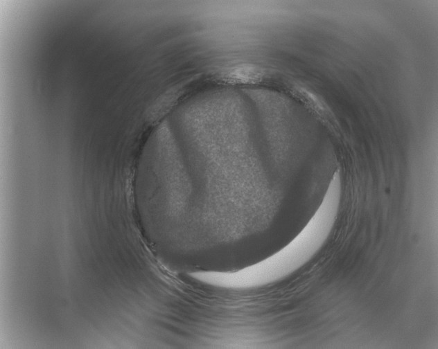 X0000070220409200606232136