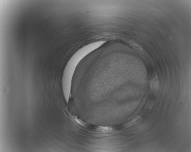 X0000070220429200606232136
