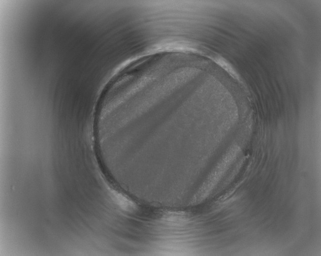 X0000070220438200606232135