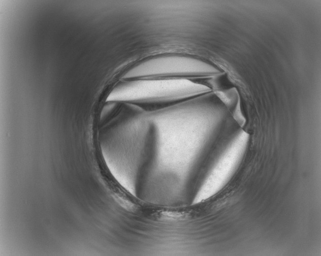 X0000070220442200606232135