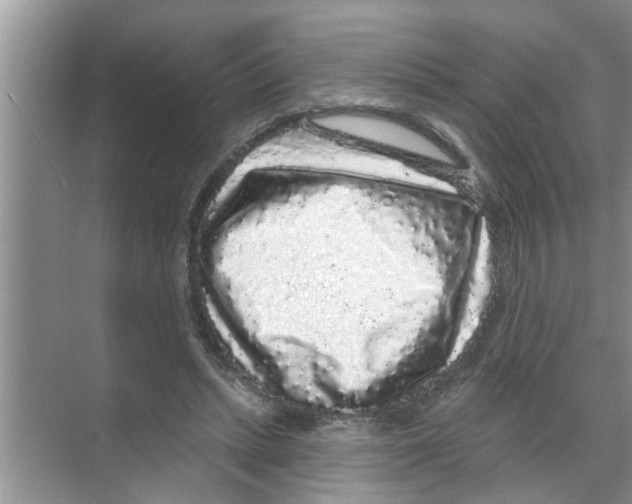 X0000070220447200606232135