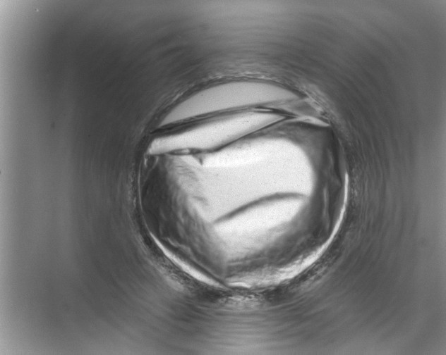 X0000070220449200606232135