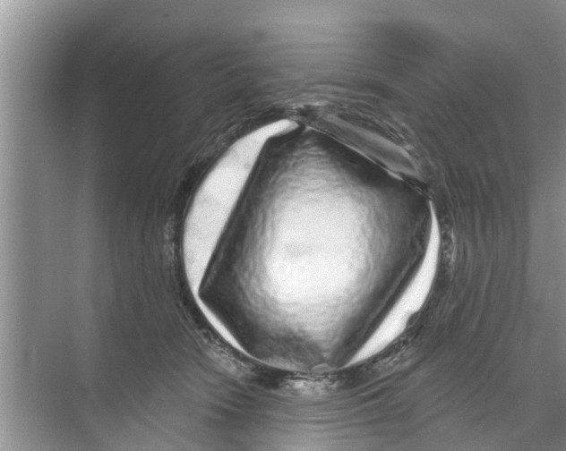 X0000070220466200606232136
