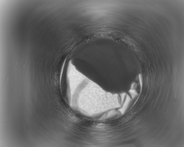 X0000070220467200606232136