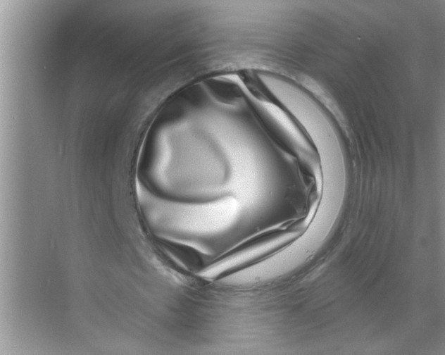 X0000070220481200606232135