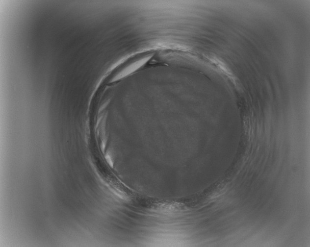 X0000070220488200606232135