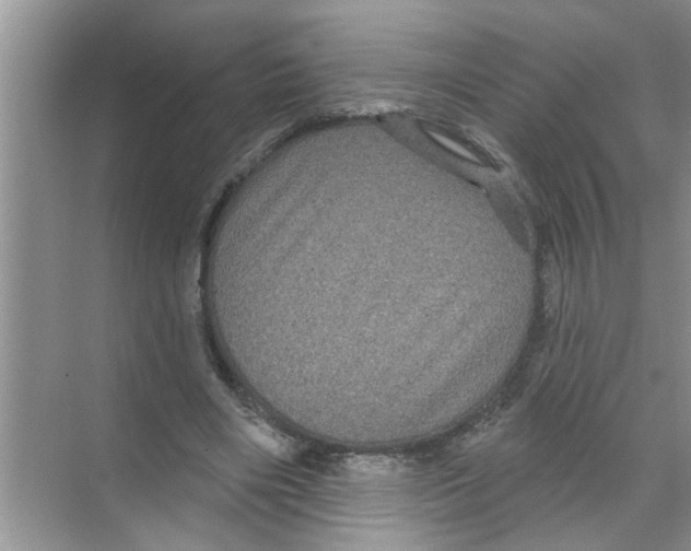 X0000070220490200606232135