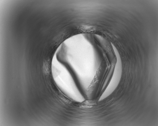 X0000070220515200606232134