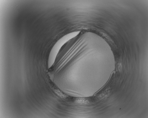 X0000070220521200606232134