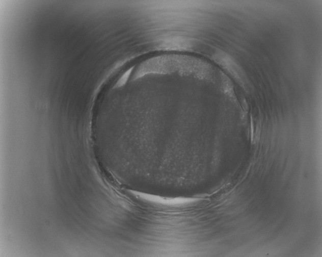 X0000070220531200606232133