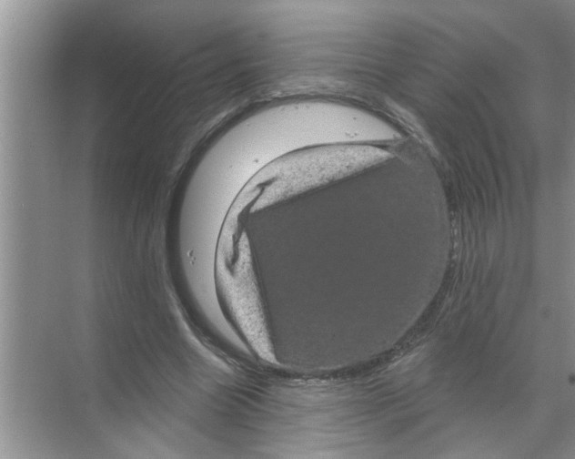 X0000070220538200606232134