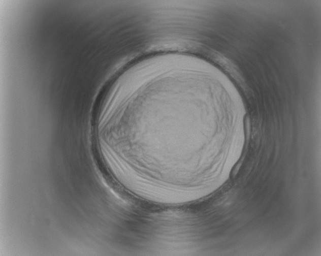 X0000070220578200606232133