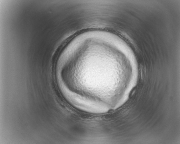 X0000070220675200606232132