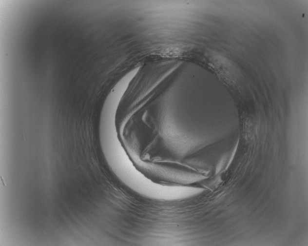 X0000070220697200606232131