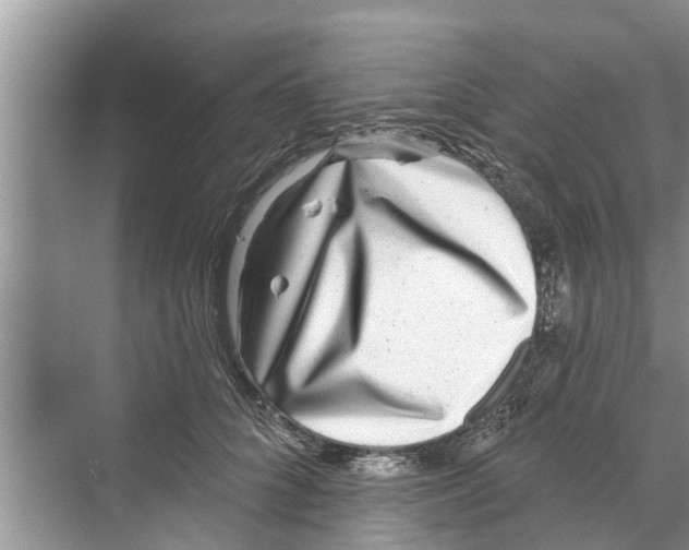 X0000070220704200606232131