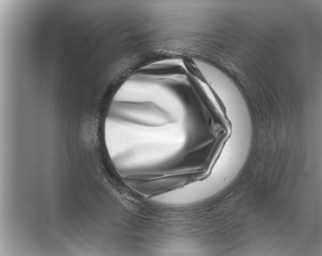 X0000070220735200606232130