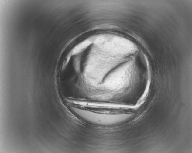 X0000070220783200606232130