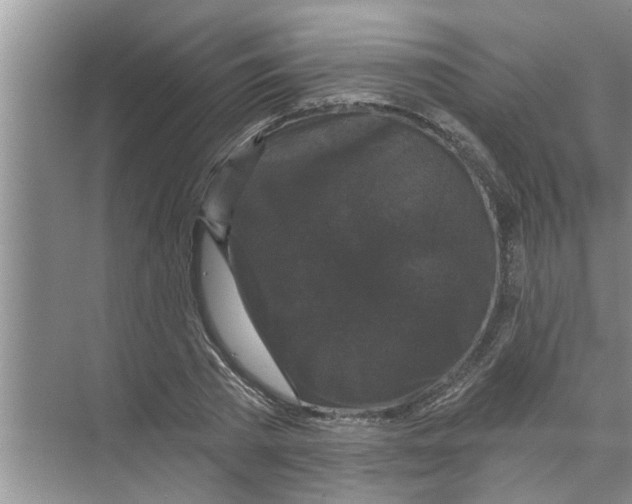 X0000070220785200606232130