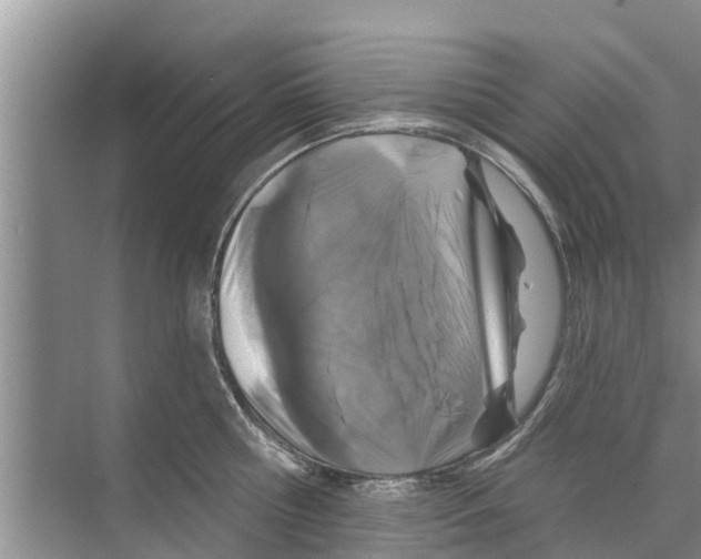 X0000070220810200606232130