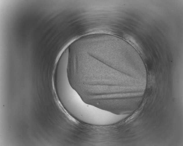 X0000070220812200606232129